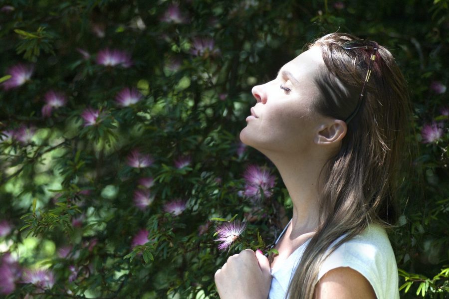 Mindfulness Classroom